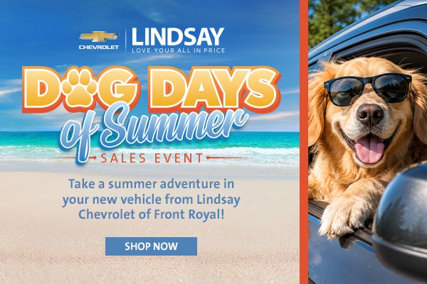 Dog Days of Summer